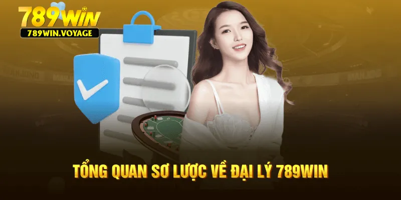 Tổng quan sơ lược về đại lý 789WIN